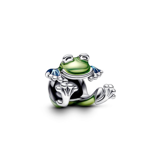Hovedbilde Climbing Frog Charm 