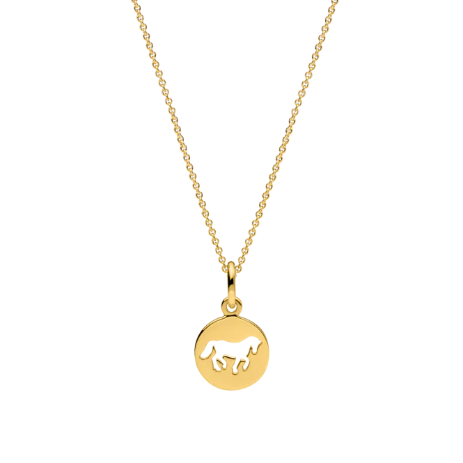 Hovedbilde Cassidy Small Pendant Plated silver