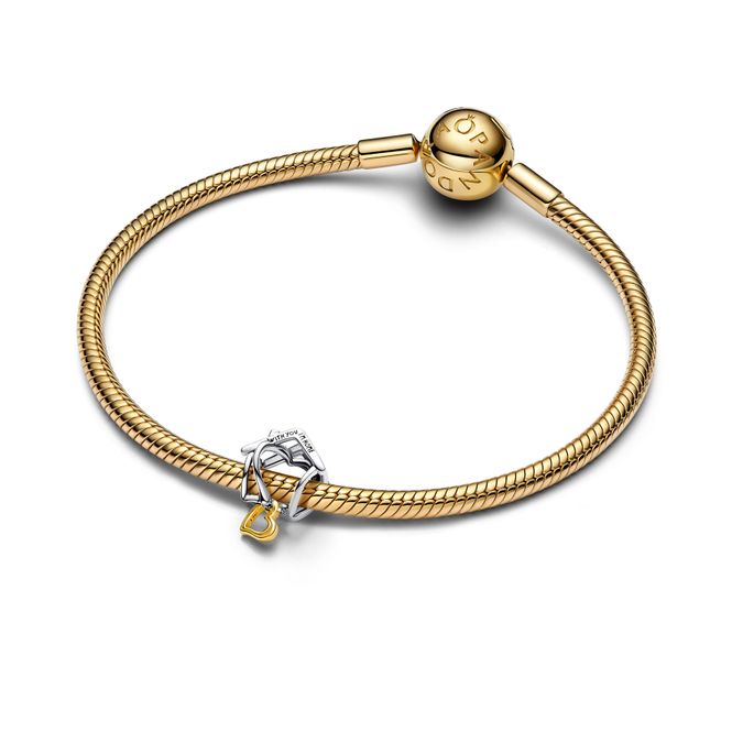 Hovedbilde Home & Heart Charm