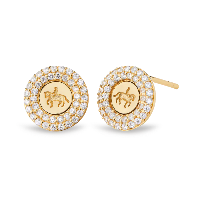 Hovedbilde Adriano Earrings plated silver w. cubic zirconia