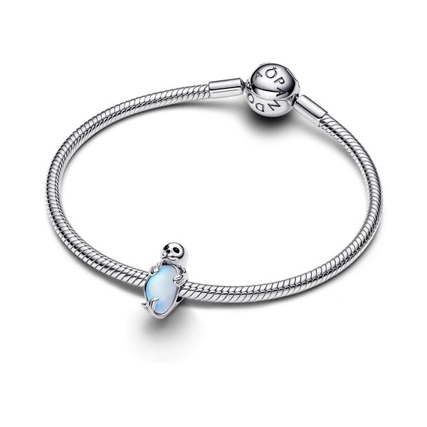 Seal charm 